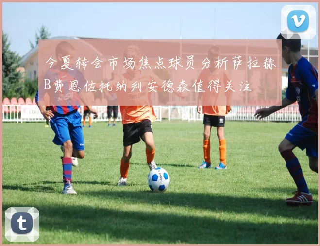 今夏转会市场焦点球员分析萨拉赫B费恩佐托纳利安德森值得关注