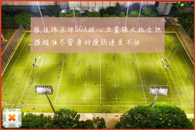张佳玮点评SGA核心力量强大机会把握精准尽管身材瘦弱速度不快