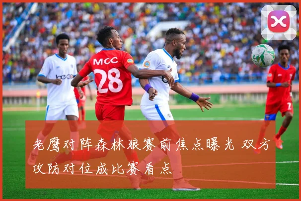 老鹰对阵森林狼赛前焦点曝光 双方攻防对位成比赛看点